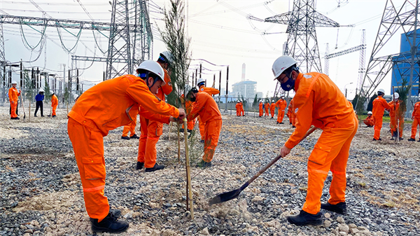 Nhà máy Nhiệt điện Vĩnh Tân 4: Tổ chức Lễ phát động hưởng ứng Phong trào Tết trồng cây năm 2024