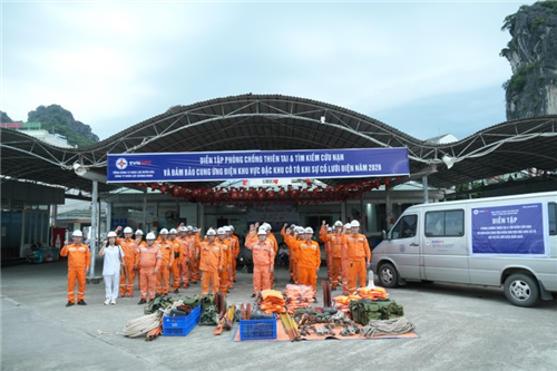 PC Quảng Ninh: Sẵn sàng bảo đảm nguồn điện cho vùng biển đảo Cô Tô - Vân Đồn