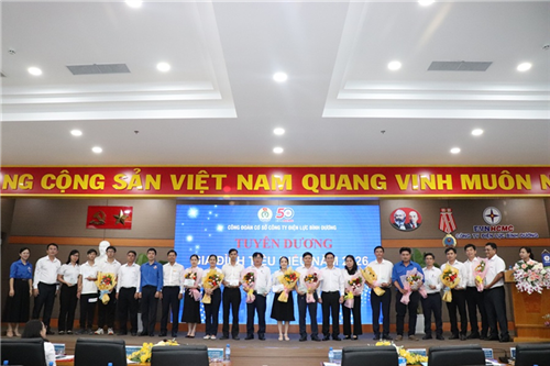 Công ty Điện lực Bình Dương nâng chất hoạt động Công đoàn, Đoàn Thanh niên