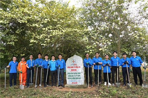 Tuổi trẻ Công ty Điện lực Phú Thọ ra quân chăm sóc cây xanh tại Khu Di tích Lịch sử Quốc gia Đặc biệt Đền Hùng