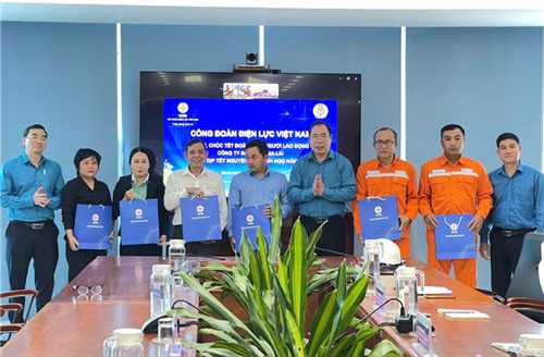 Công đoàn Điện lực Việt Nam thăm, chúc Tết người lao động Công ty Điện lực Gia Lai