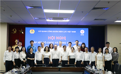 Hội nghị triển khai công tác sắp xếp tổ chức và công tác cán bộ Cơ quan Công đoàn Điện lực Việt Nam