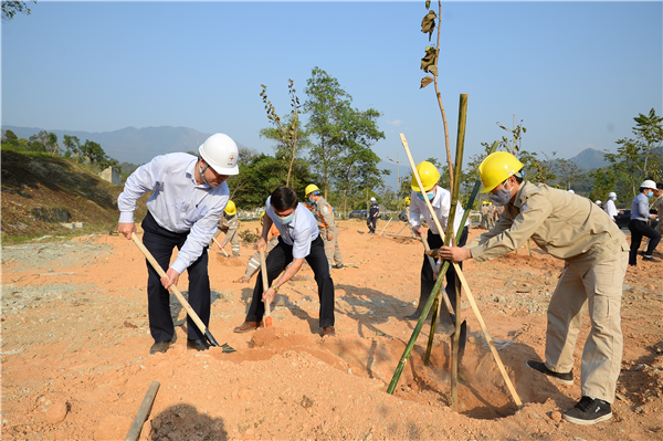 Công đoàn Điện lực Việt Nam phát động “Tết trồng cây đời đời nhớ ơn Bác Hồ” nhân dịp Xuân Giáp Thìn năm 2024