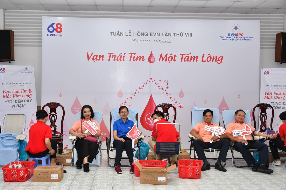 Tổng Công ty Điện lực miền Nam, tiếp tục đồng hành cùng “Tuần lễ hồng lần VIII năm 2022” 3