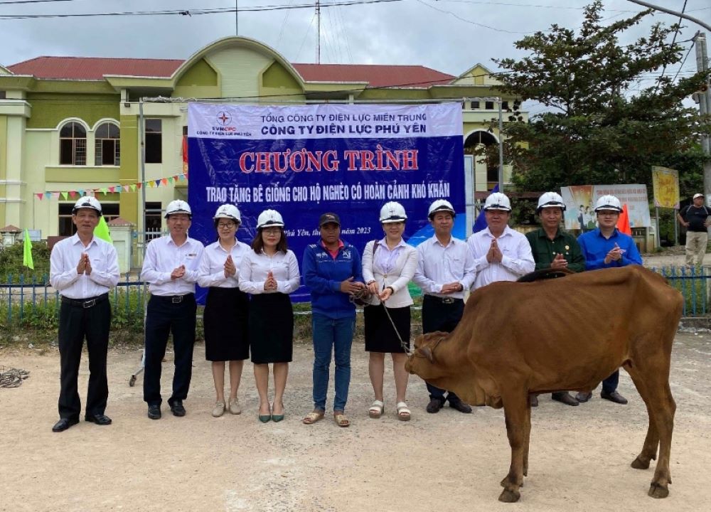  PC Phú Yên: Trao tặng bê giống cho hộ phụ nữ nghèo huyện Sơn Hòa