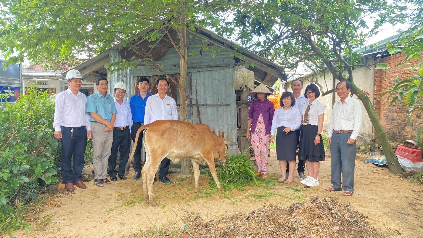 Công ty Điện lực Phú Yên: 22 con bê giống giúp hộ phụ nữ thoát nghèo