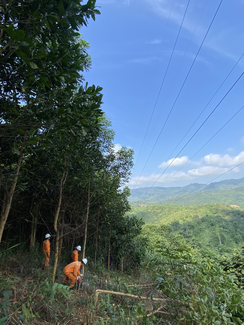 Công ty Truyền tải điện 2 chủ động triển khai các phương án phòng chống thiên tai và tìm kiếm cứu nạn 1