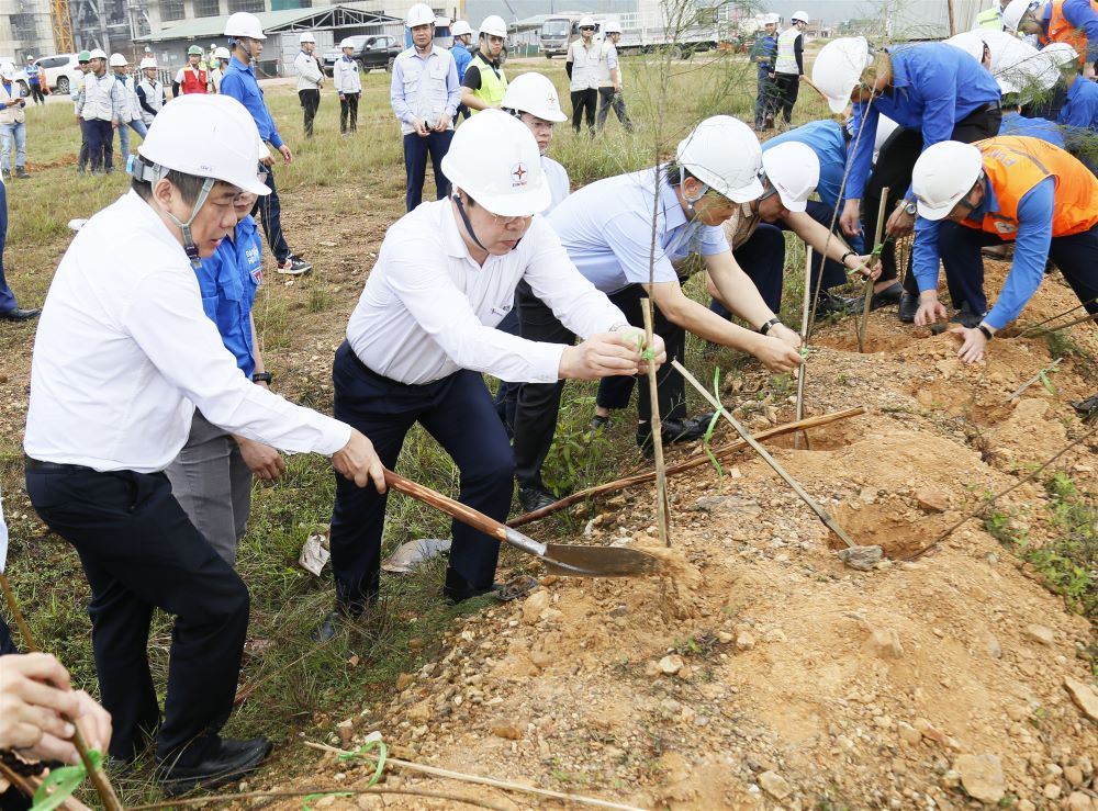 Đoàn Thanh niên EVN trồng 2.000 cây hưởng ứng “Tết trồng cây” mừng xuân Giáp Thìn - 2024 3