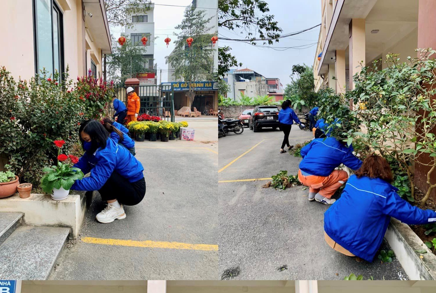 EVNHANOI tổ chức Lễ phát động “Tết trồng cây đời đời nhớ ơn Bác Hồ” Xuân Giáp Thìn 2024  5