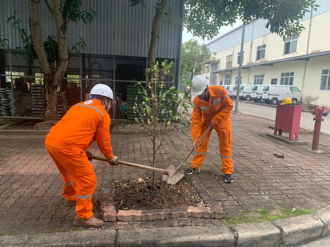 EVNHANOI tổ chức Lễ phát động “Tết trồng cây đời đời nhớ ơn Bác Hồ” Xuân Giáp Thìn 2024  6