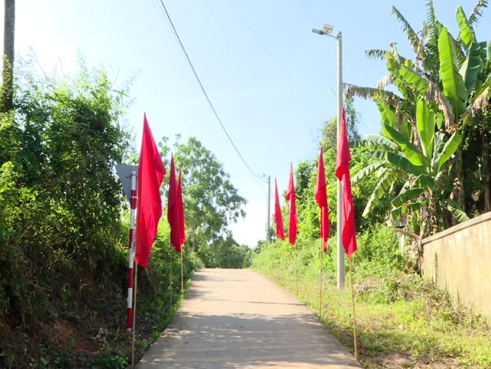 PC Ninh Bình: Gắn biển 2 công trình “Thắp sáng đường quê” 1