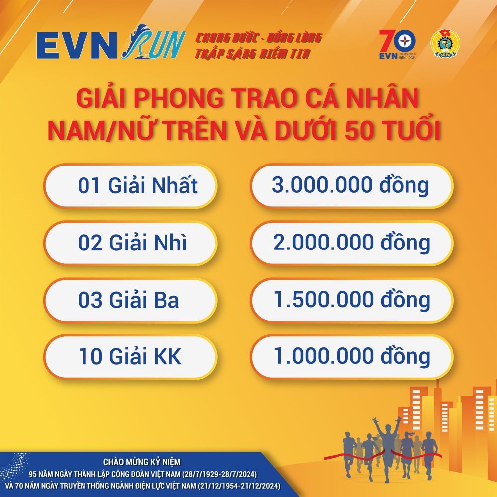 Thông báo Kết thúc giải chạy online EVNRUN 2024 “Chung bước – Đồng lòng  - Thắp sáng niềm tin” 1