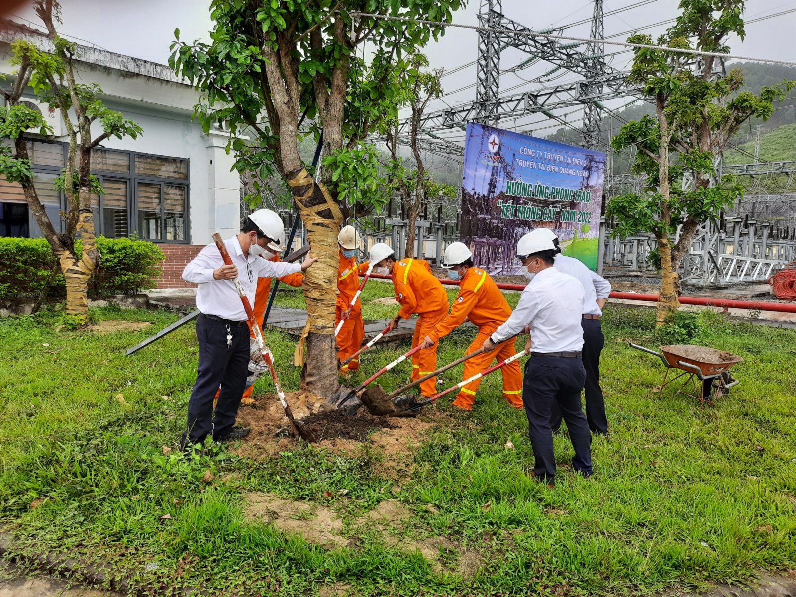 Công đoàn các cấp trong EVNNPT tích hưởng ứng Chương trình “Tết Trồng cây” năm 2025