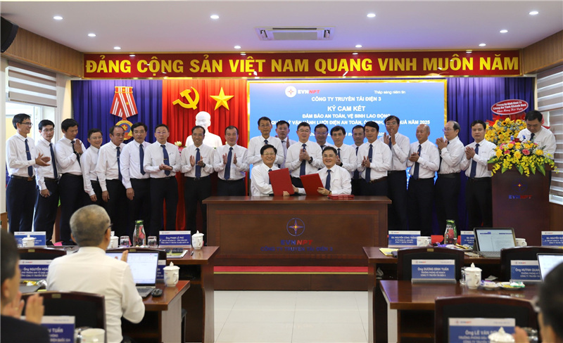 Công đoàn Công ty Truyền tải điện 3 trên hành trình đổi mới