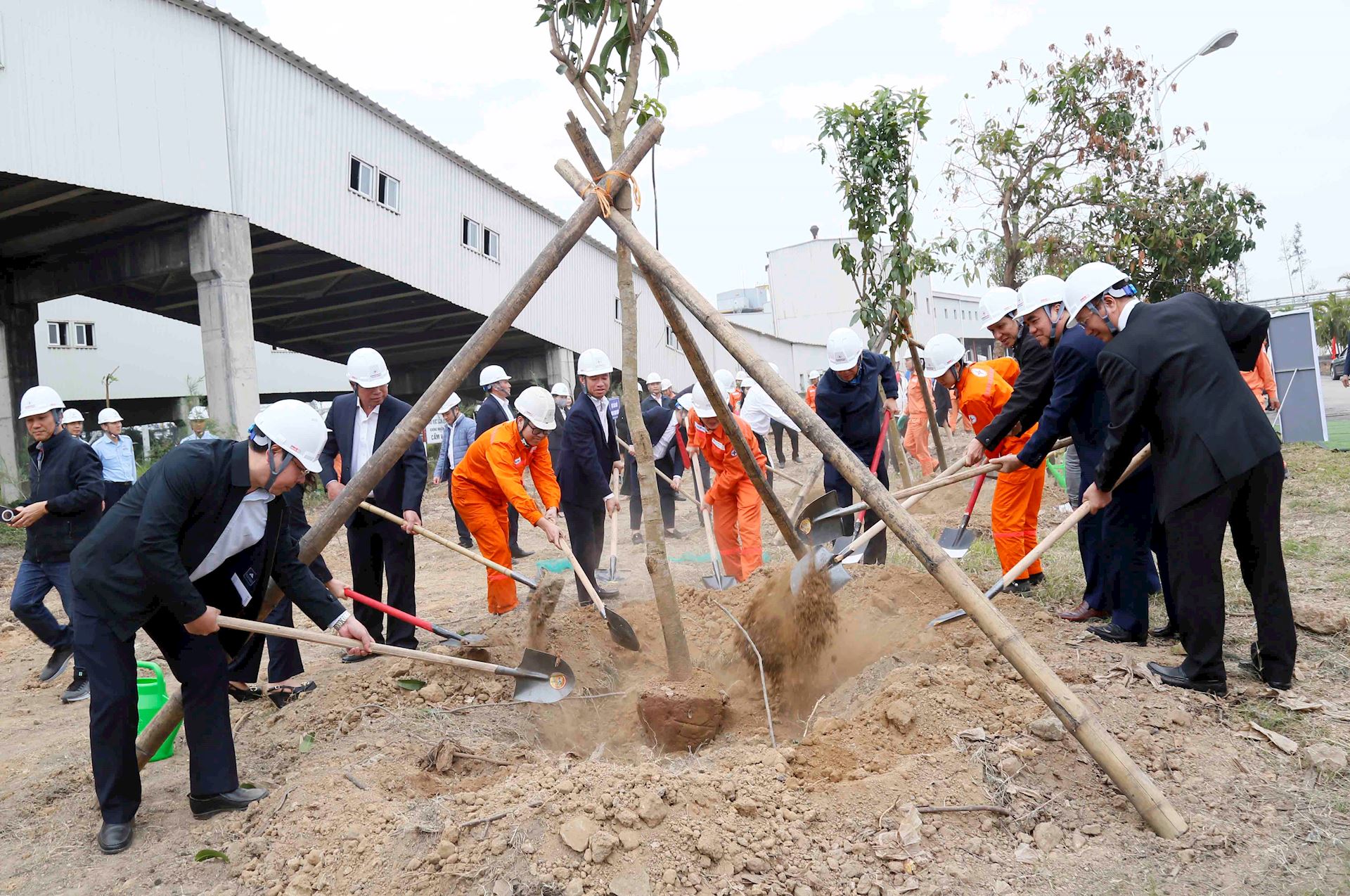 Công đoàn Điện lực Việt Nam tổ chức phát động Tết trồng cây năm 2025 6