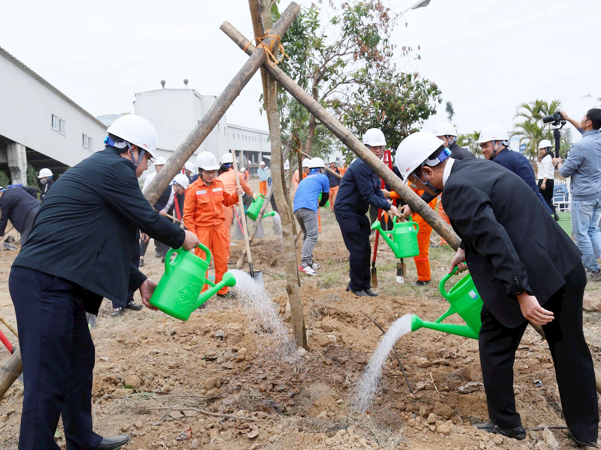 Công đoàn Điện lực Việt Nam tổ chức phát động Tết trồng cây năm 2025 7