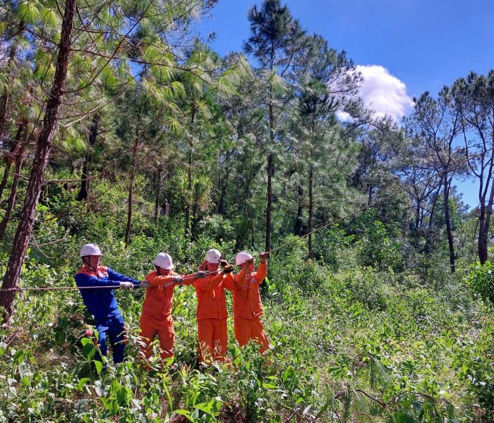 Công đoàn PC Lào Cai vững vàng bước vào nhiệm kỳ mới (2025 – 2030) 1