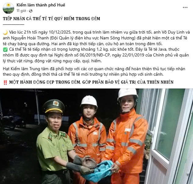 Công nhân Công ty Điện lực Huế kịp thời cứu hộ động vật quý hiếm trong đêm 1