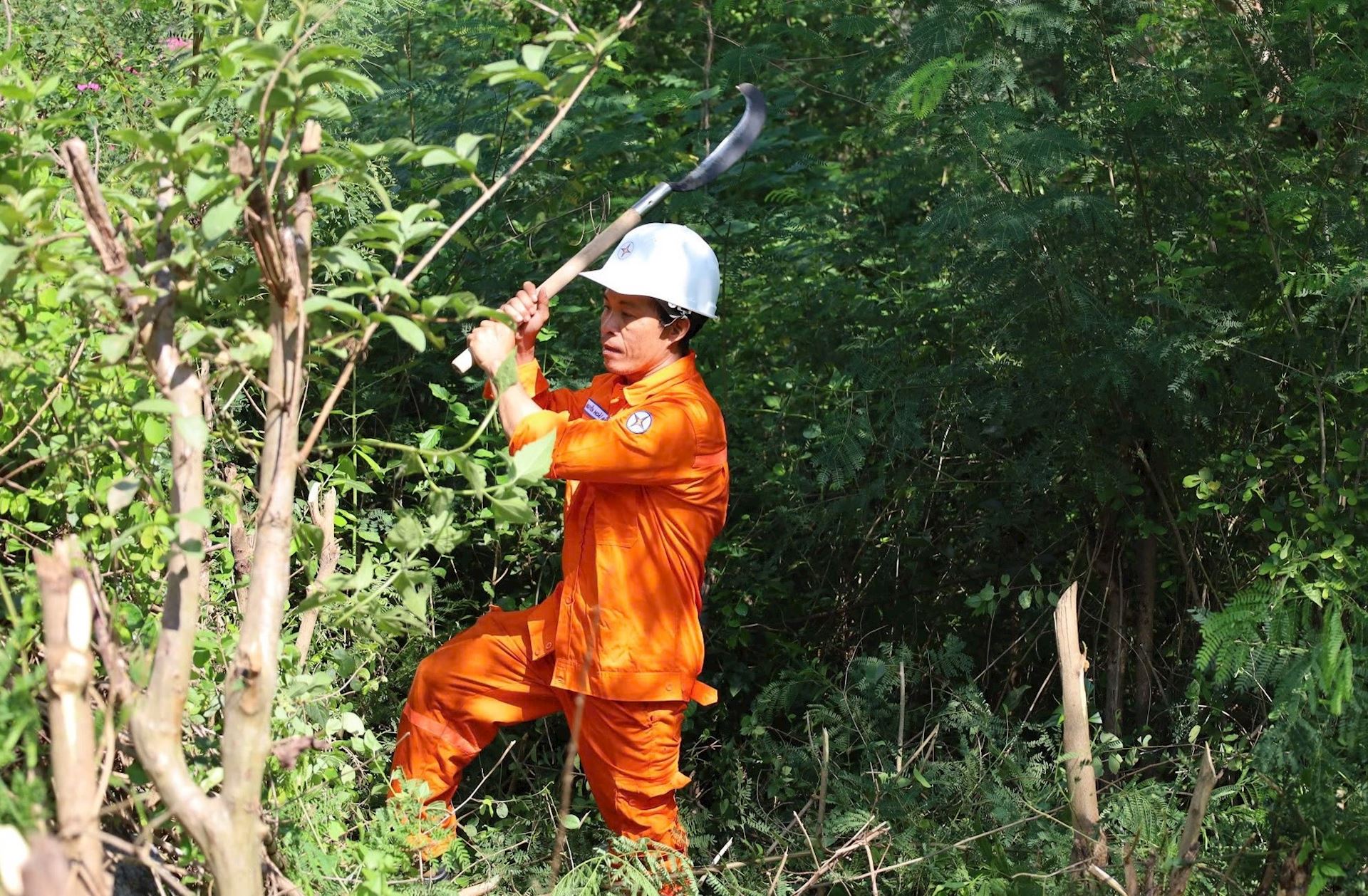 Công nhân ngành điện sôi nổi ưởng ứng Tháng công nhân và tháng hành động về an toàn, vệ sinh lao động năm 2025 2