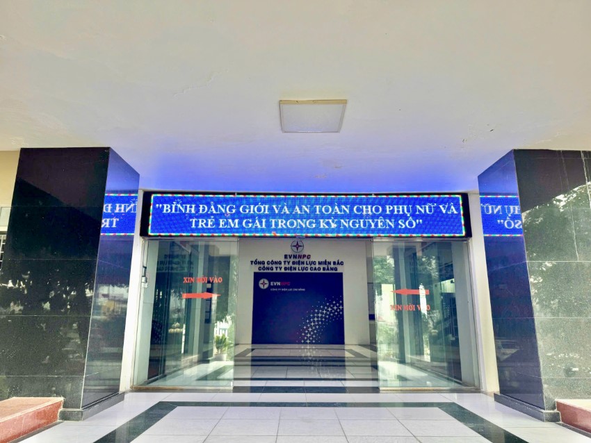 Công ty Điện lực Cao Bằng chung tay vì bình đẳng giới và an toàn cho phụ nữ, trẻ em gái trong kỷ nguyên số
