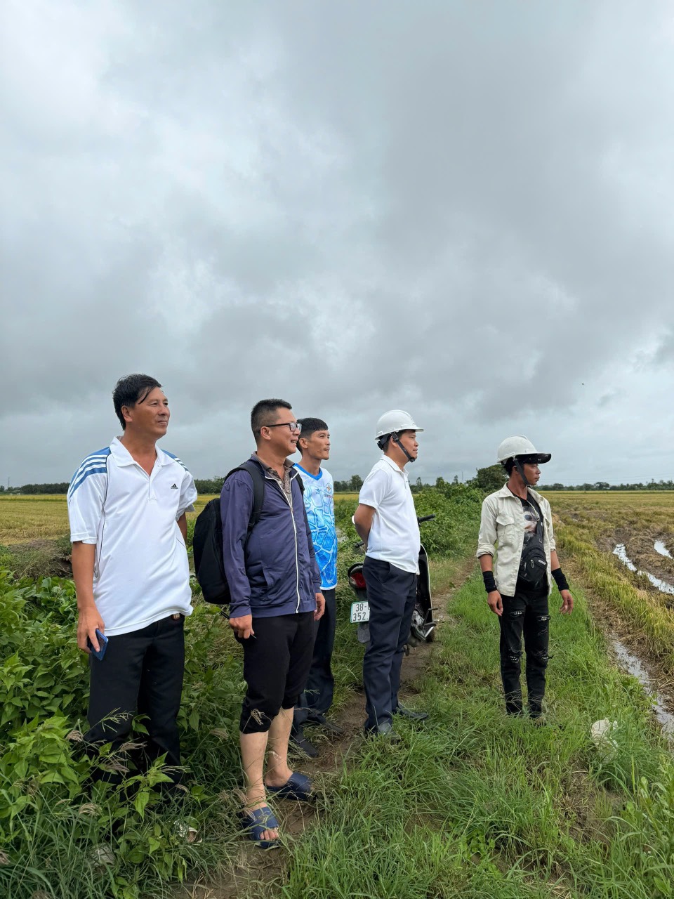 Lãnh đạo Tổng công ty Điện lực miền Nam bám sát tiến độ trên các công trường, chuẩn bị đóng điện các dự án trọng điểm 110kV 2