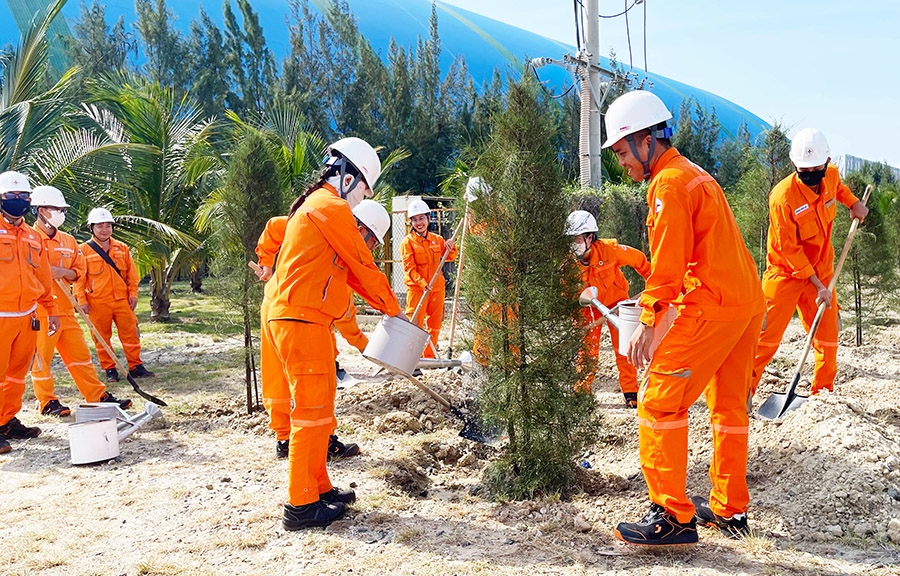 Người lao động Nhà máy Nhiệt điện Vĩnh Tân 4 ra quân trồng cây xanh, hưởng ứng Ngày Môi trường Thế giới và Tháng hành động vì Môi trường năm 2025 5