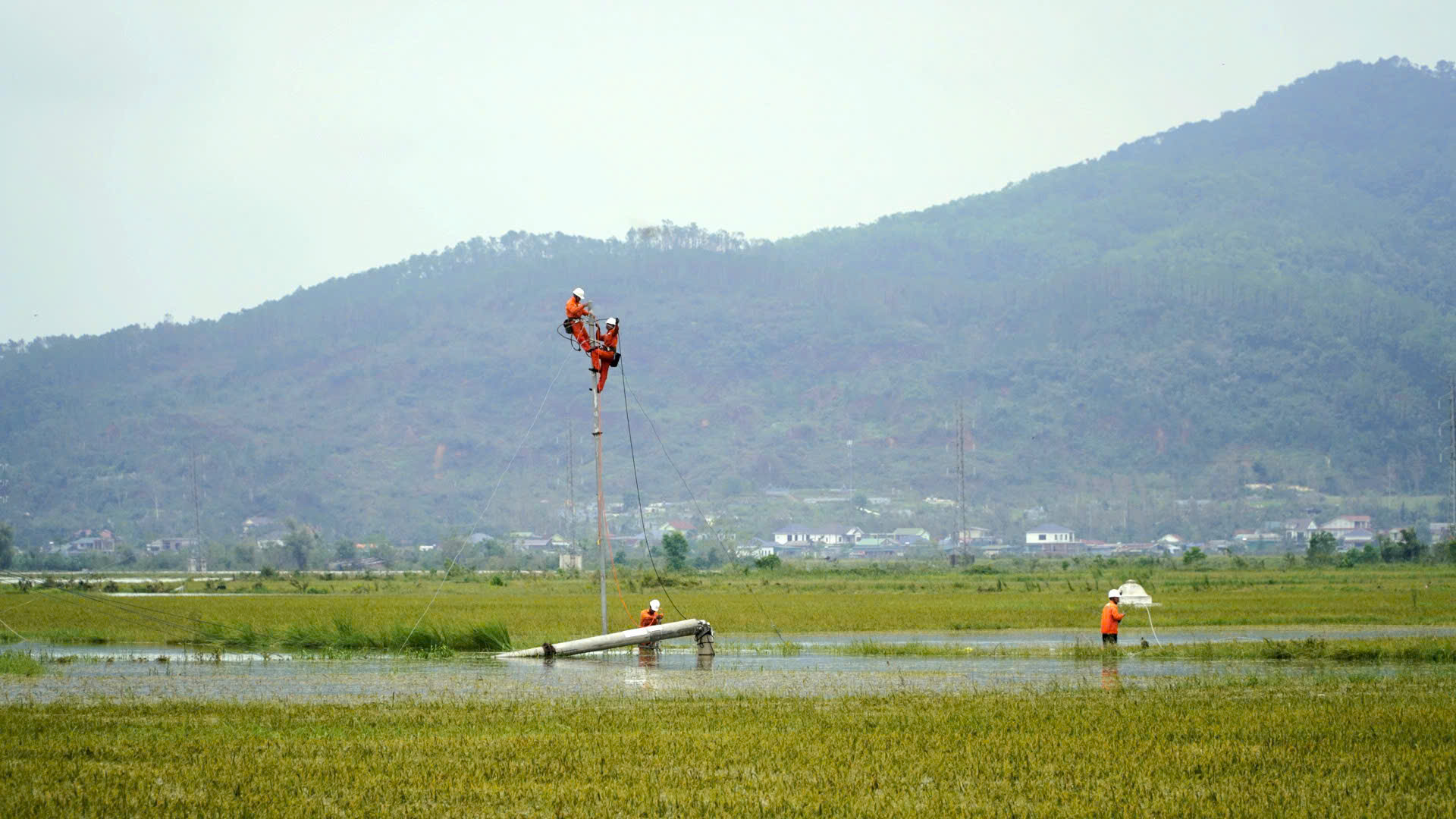 Sẽ khôi phục lưới điện tỉnh Hà Tĩnh trong ngày 28/8/2025 6
