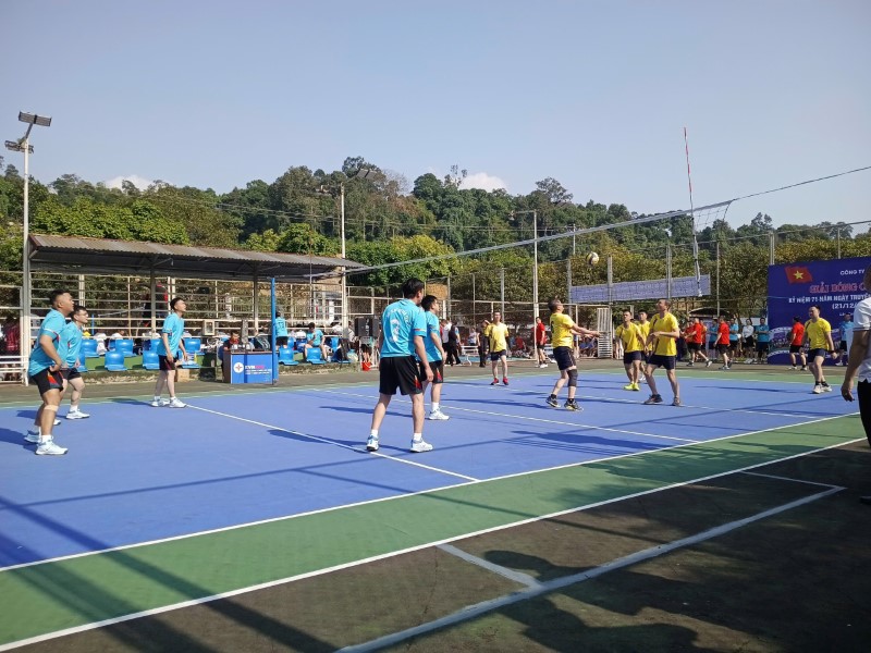 Sôi nổi các trận đấu Giải bóng chuyền nam CBCNV-LĐ Công ty Điện lực Lào Cai chào mừng 71 năm Ngày truyền thống ngành Điện 1