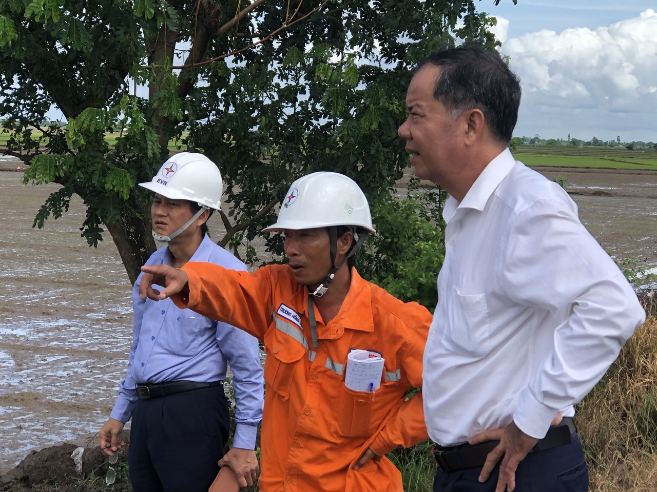 Tổng công ty Điện lực miền Nam phát động phong trào thi đua giai đoạn 2025 - 2030 2