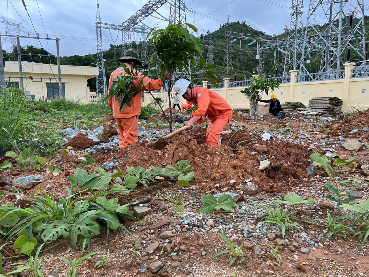 Trồng cây xanh tại trạm OPY 500kV Công ty thủy điện Ialy 1