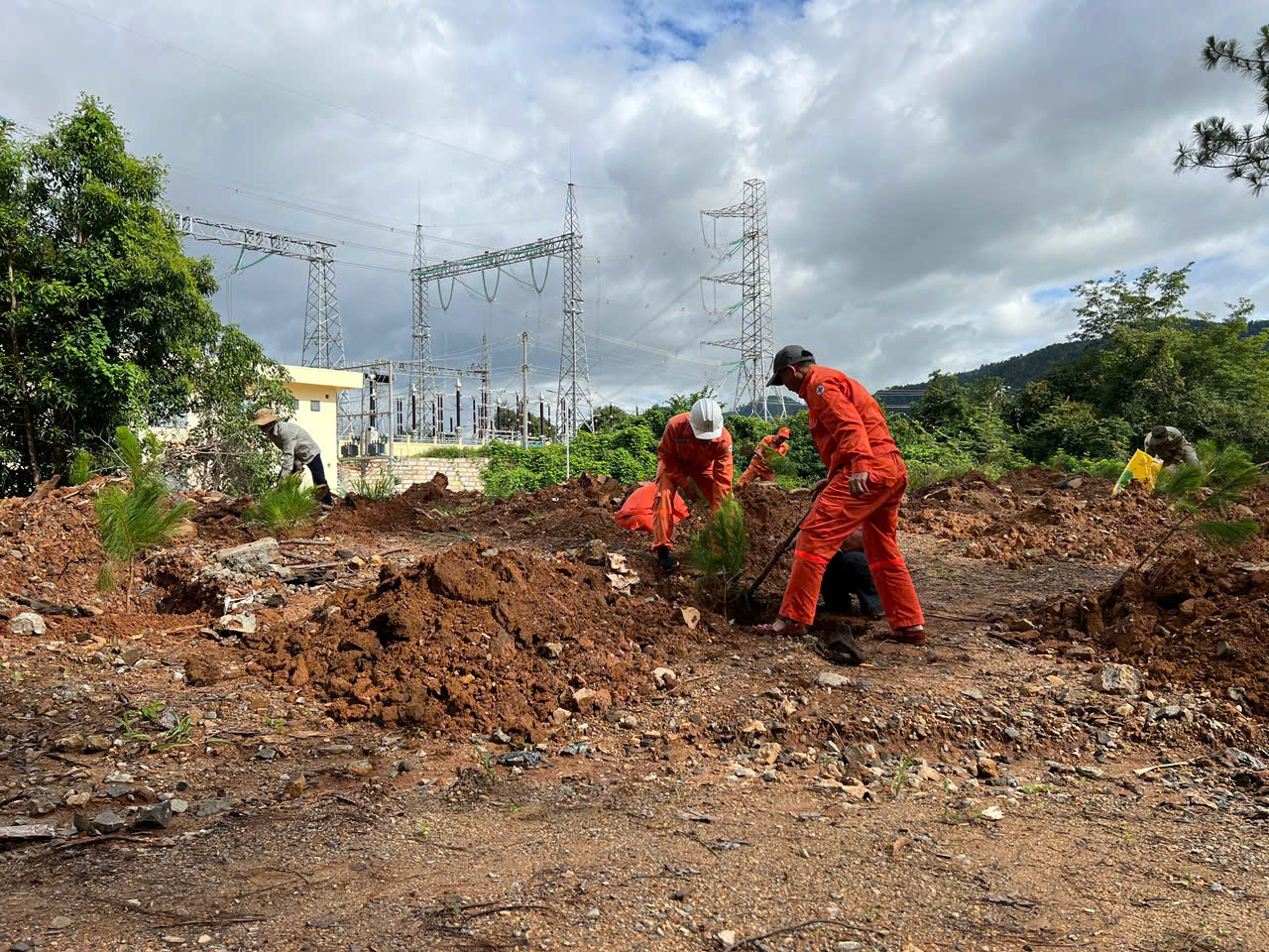 Trồng cây xanh tại trạm OPY 500kV Công ty thủy điện Ialy 2
