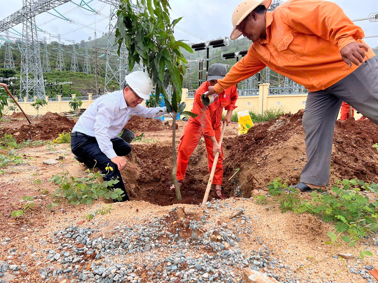 Trồng cây xanh tại trạm OPY 500kV Công ty thủy điện Ialy