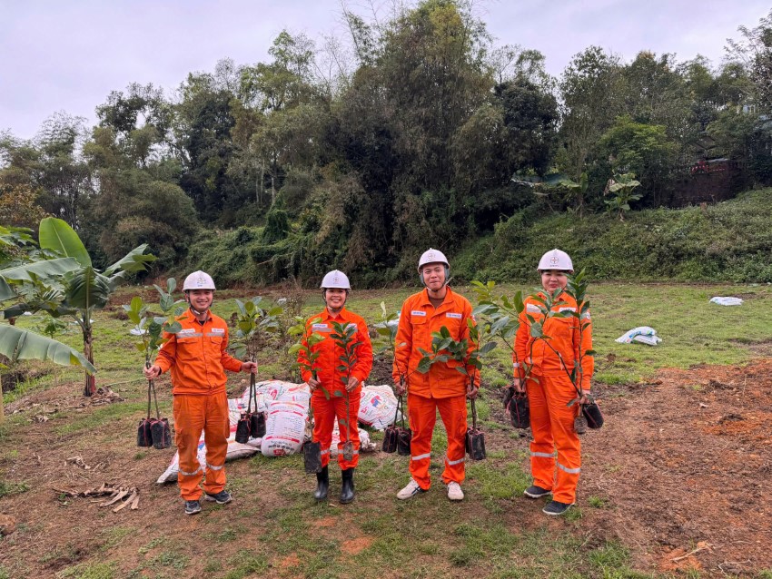 Chung tay bảo vệ môi trường – Kiến tạo không gian làm việc xanh, sạch, đẹp 2