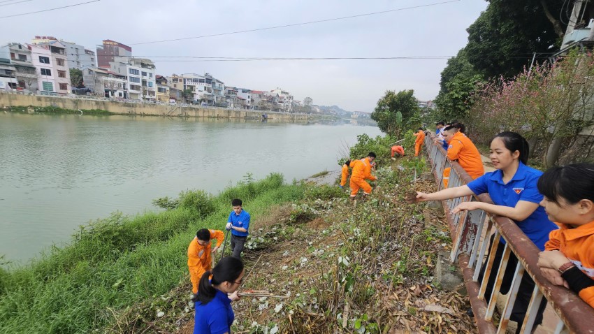 Chung tay bảo vệ môi trường – Kiến tạo không gian làm việc xanh, sạch, đẹp
