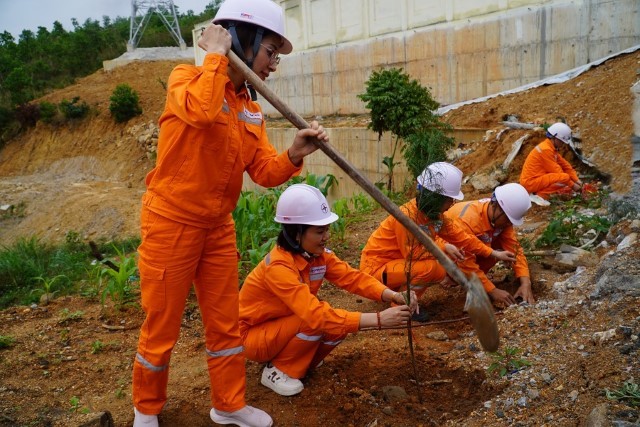 Công đoàn Công ty Điện lực Quảng Ninh hưởng ứng phong trào “Tết trồng cây – Đời đời nhớ ơn Bác Hồ” Xuân Bính Ngọ 2026 3