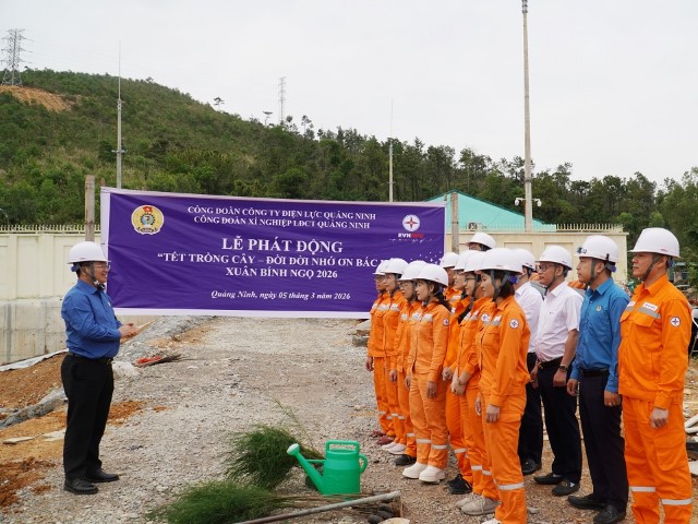 Công đoàn Công ty Điện lực Quảng Ninh hưởng ứng phong trào “Tết trồng cây – Đời đời nhớ ơn Bác Hồ” Xuân Bính Ngọ 2026