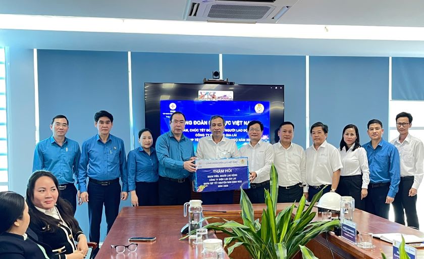 Công đoàn Điện lực Việt Nam thăm, chúc Tết người lao động Công ty Điện lực Gia Lai 2