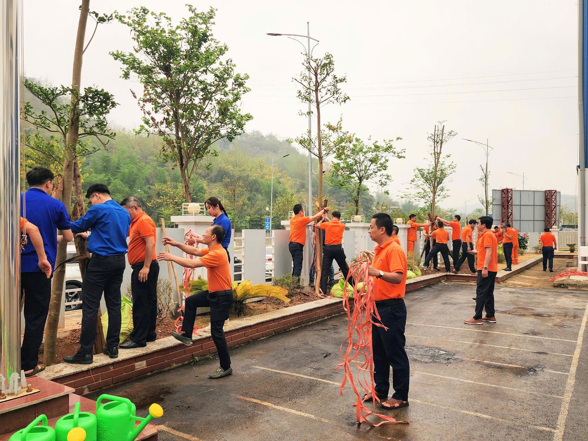 Công ty Điện lực Sơn La phát động Tết trồng cây “Đời đời nhớ ơn Bác Hồ” năm 2026 2