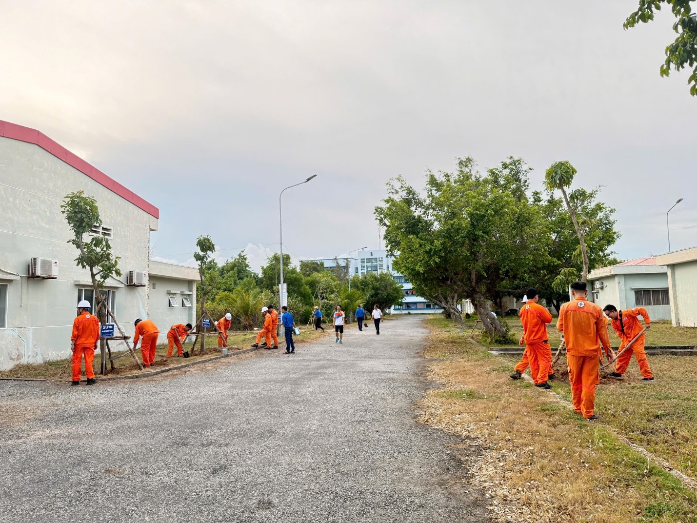 Công ty Nhiệt điện Duyên Hải phát động phong trào trồng cây “Đời đời nhớ ơn Bác Hồ” và khánh thành 3 sân Pickleball phục vụ người lao động 7