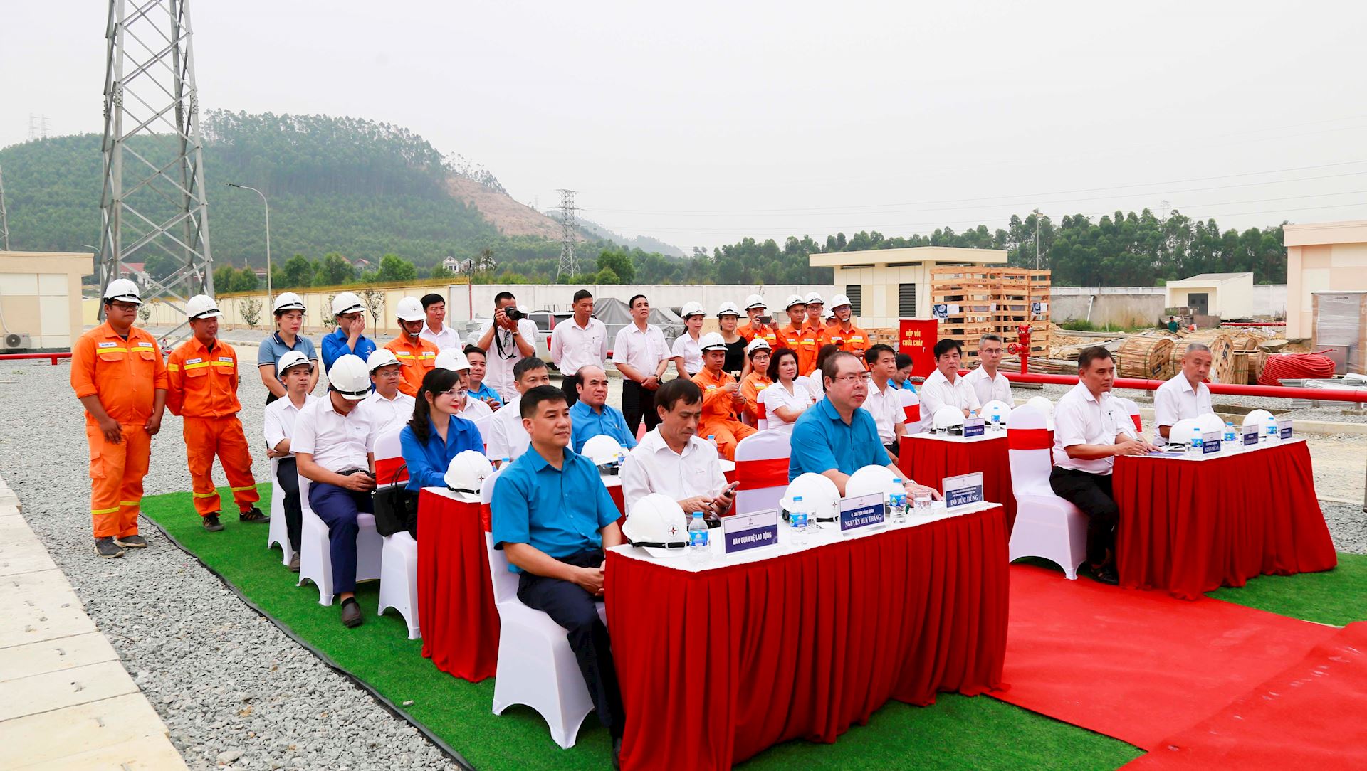 Công ty Truyền tải điện 1 phát động “Tết trồng cây” năm 2026 1