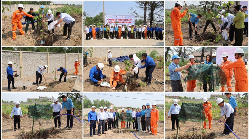 EVNCPC tổ chức “Tết trồng cây – Đời đời nhớ ơn Bác Hồ” tại Quảng Ngãi 7