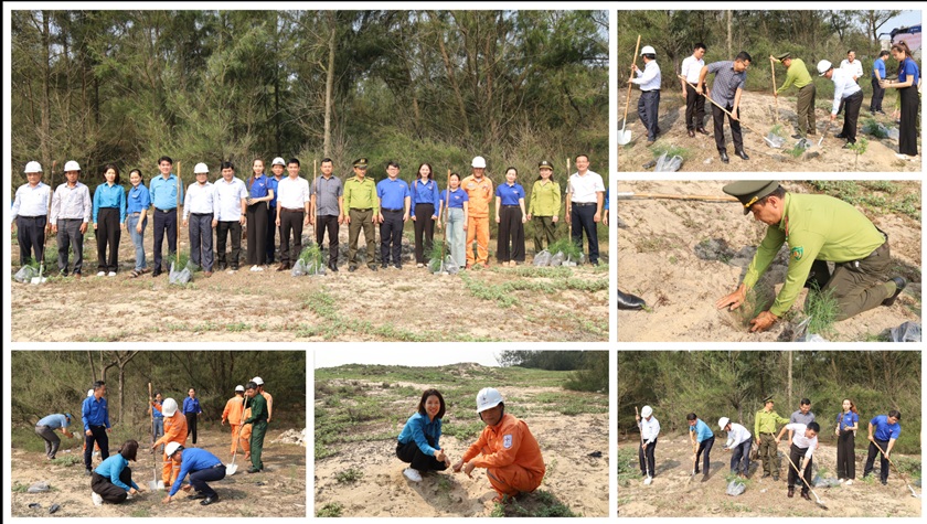 EVNCPC tổ chức “Tết trồng cây – Đời đời nhớ ơn Bác Hồ” tại Quảng Ngãi 8