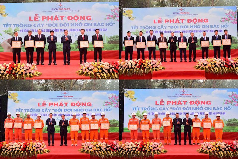 EVNHANOI tổ chức Lễ phát động “Tết trồng cây” Xuân Bính Ngọ 2026 3