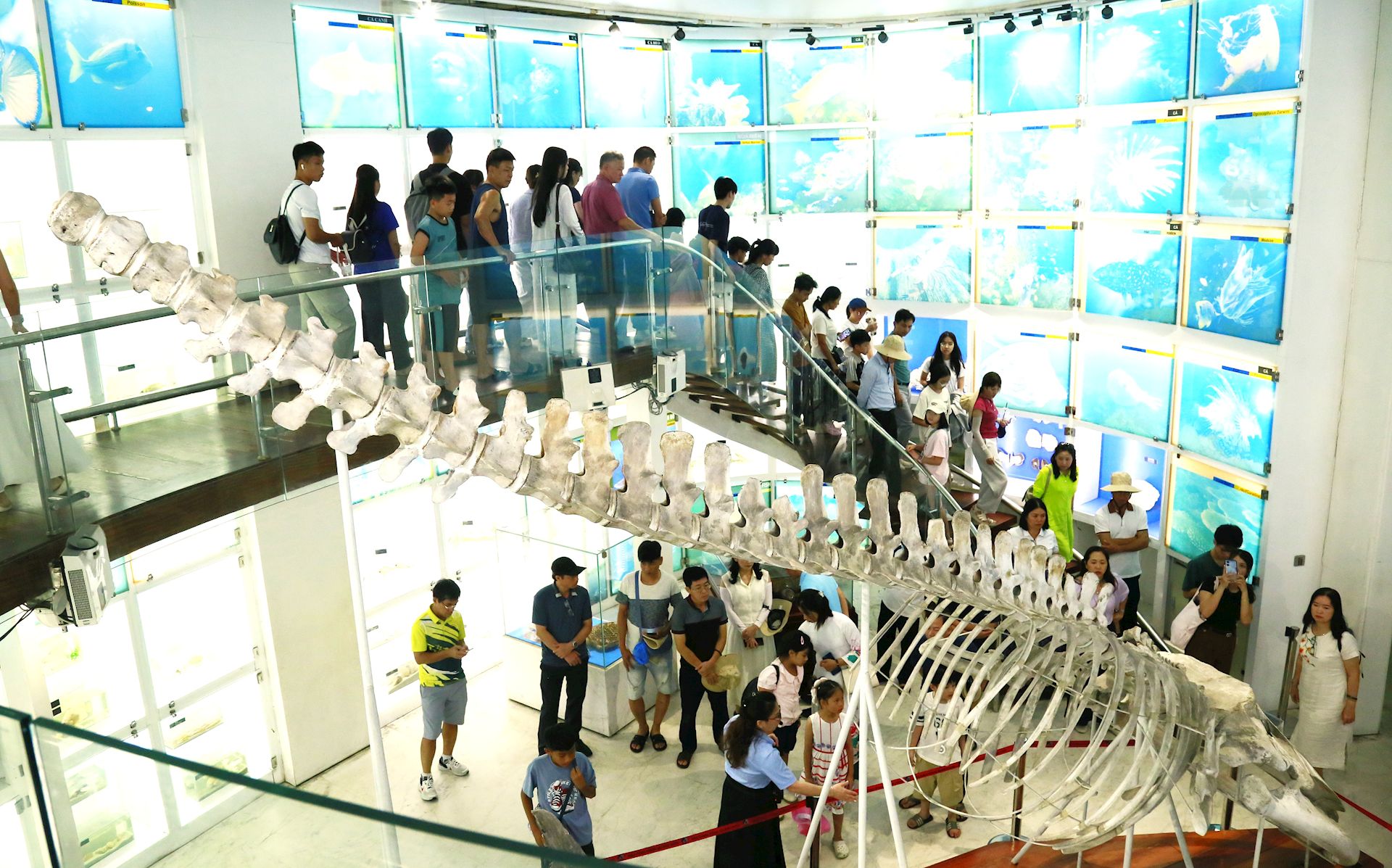 Gia đình CBCNV tiêu biểu và học sinh xuất sắc EVN trải nghiệm thực tế tại Quảng Ninh