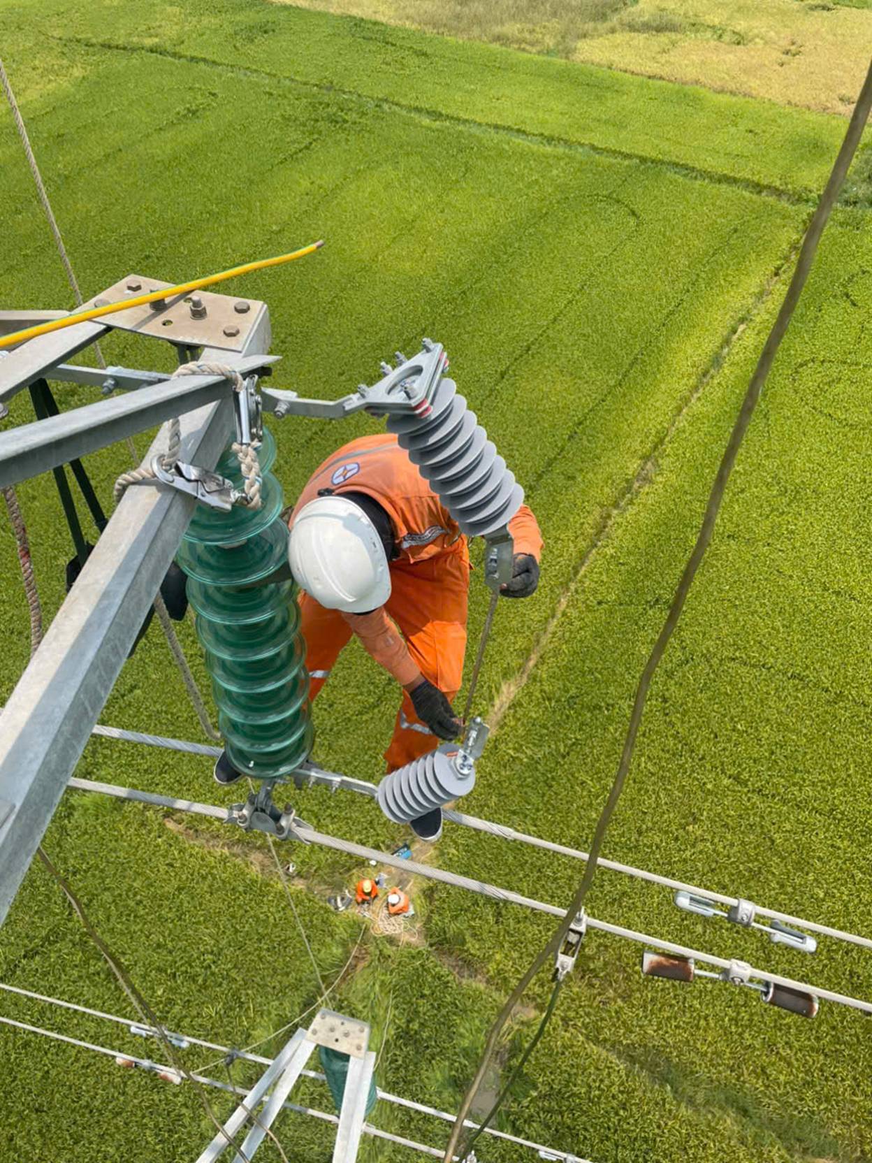 PHÁT ĐỘNG HƯỞNG ỨNG THÁNG HÀNH ĐỘNG VỀ AN TOÀN, VỆ SINH LAO ĐỘNG NĂM 2026 2