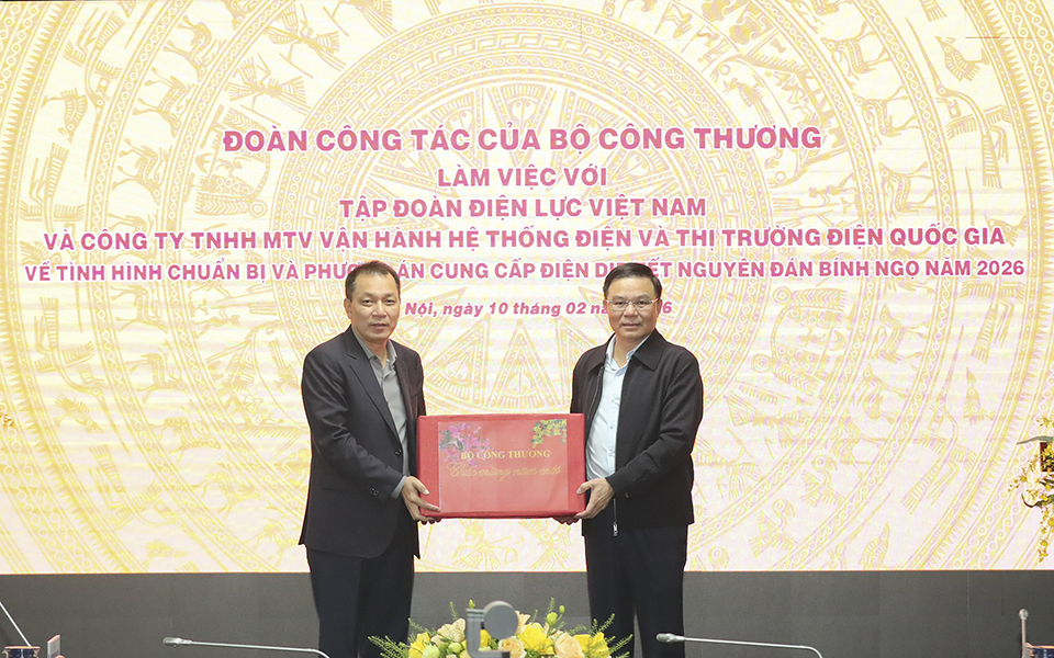 Quyền Bộ trưởng Bộ Công Thương Lê Mạnh Hùng: Bảo đảm cung ứng điện Tết Bính Ngọ an toàn, ổn định, tin cậy trong mọi tình huống 3