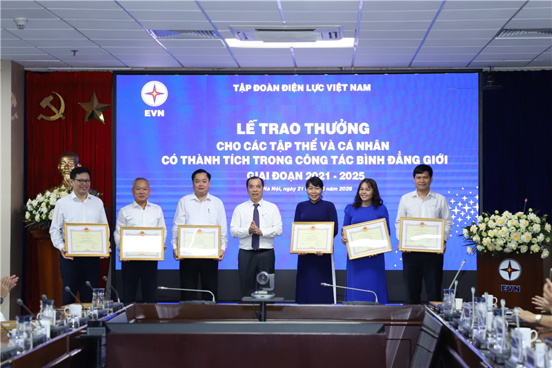 Tổng công ty Điện lực miền Nam có 3 tập thể và 4 cá nhân được khen thưởng trong công tác bình đẳng giới. 2