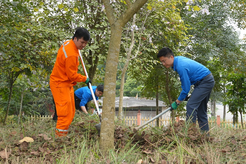 Tuổi trẻ Công ty Điện lực Phú Thọ ra quân chăm sóc cây xanh tại Khu Di tích Lịch sử Quốc gia Đặc biệt Đền Hùng 1