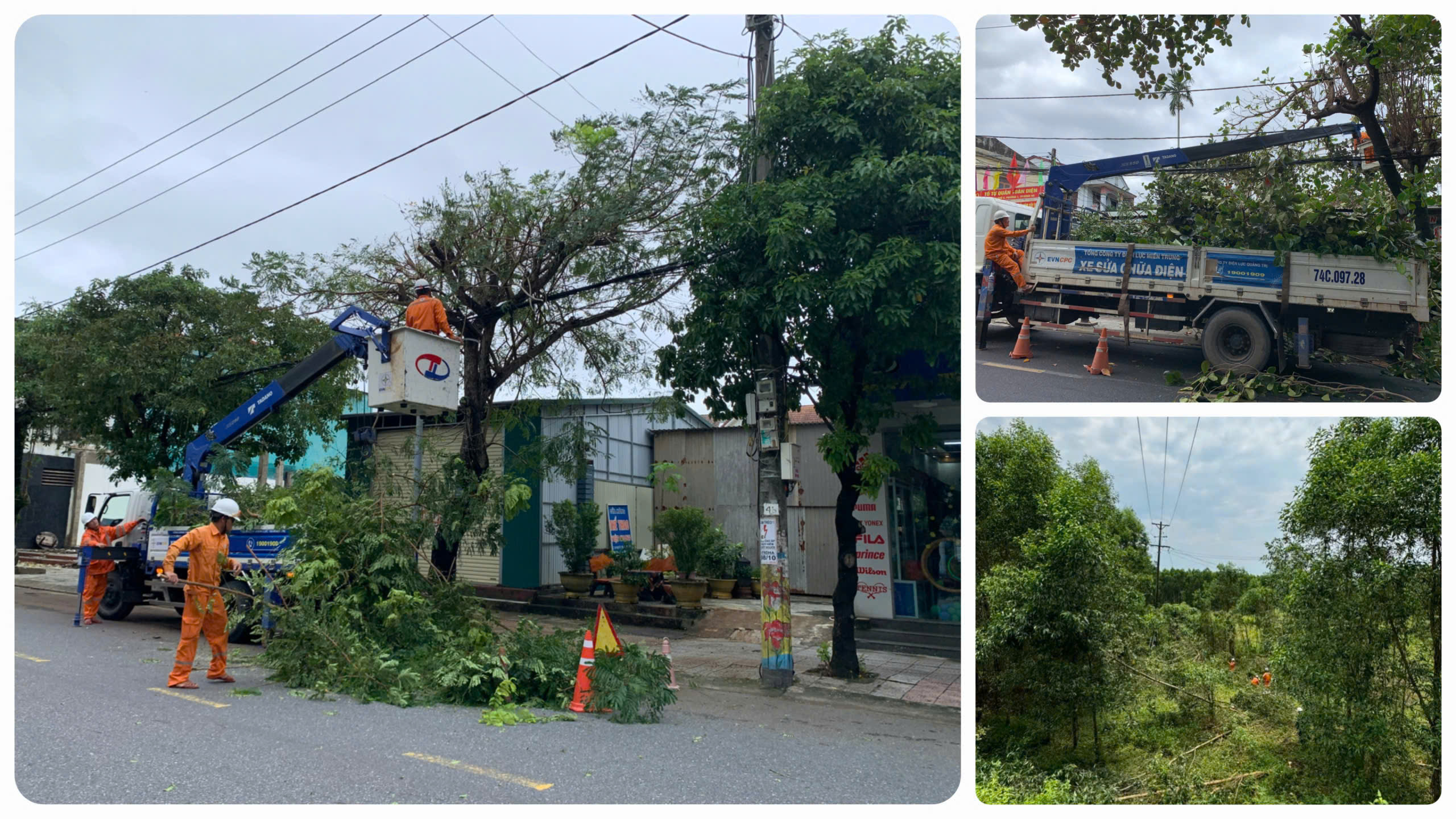 Vì một dòng điện an toàn, ổn định phục vụ nhân dân đón Xuân Bính Ngọ 1