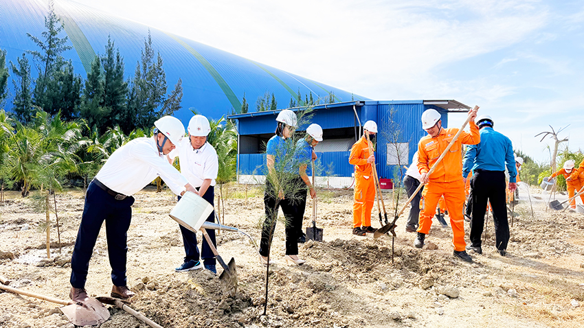 Vĩnh Tân 4: gieo mầm xanh trên vùng đất nắng gió khô cằn – khởi động Lễ phát động 